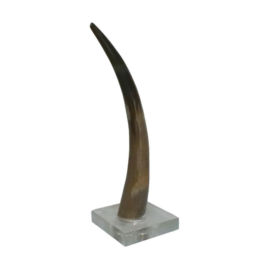 HORN ON PLEXIGLASS BASE