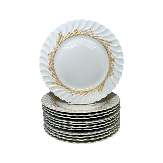 HAIVLAND DINNER PLATES (SET OF 12)