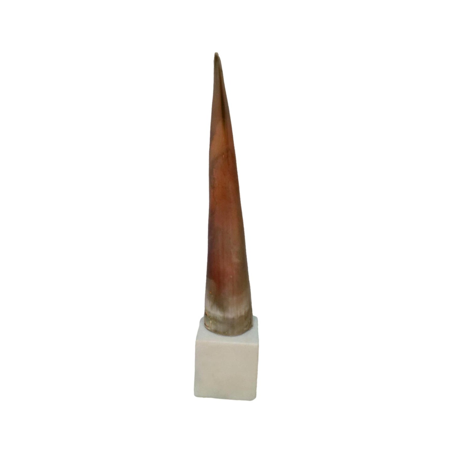 HORN ON PLEXIGLASS BASE