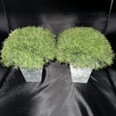 TOPIARY (PAIR)