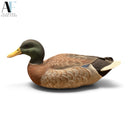 AMERICAN WILDLIFE DECOY