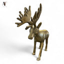 MOOSE