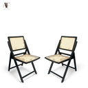 FOLDING CHAIRS (PAIR)