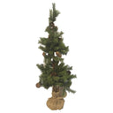 PINETREE