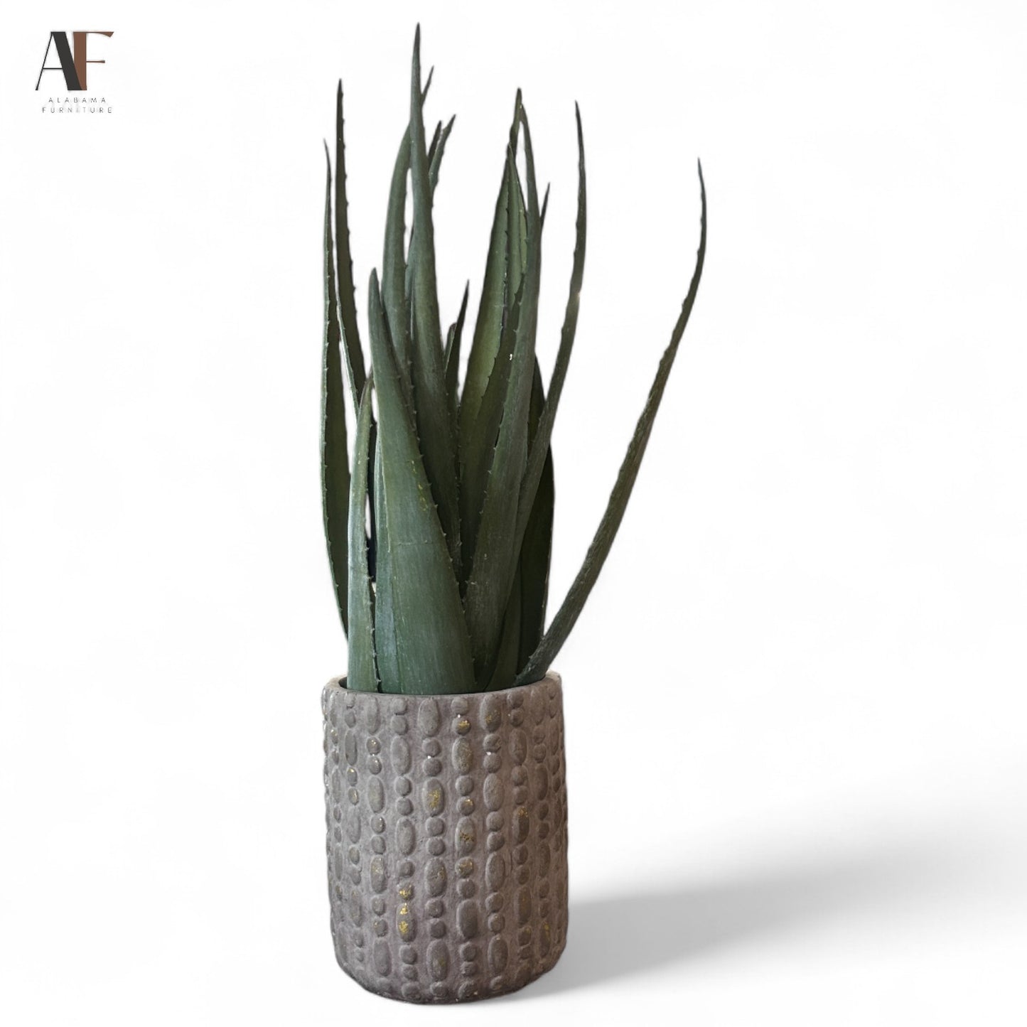 VASE WITH ALOE PLANT