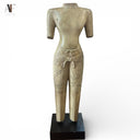 TORSO