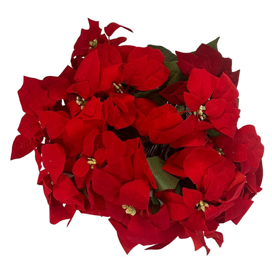 Large Poinsettia