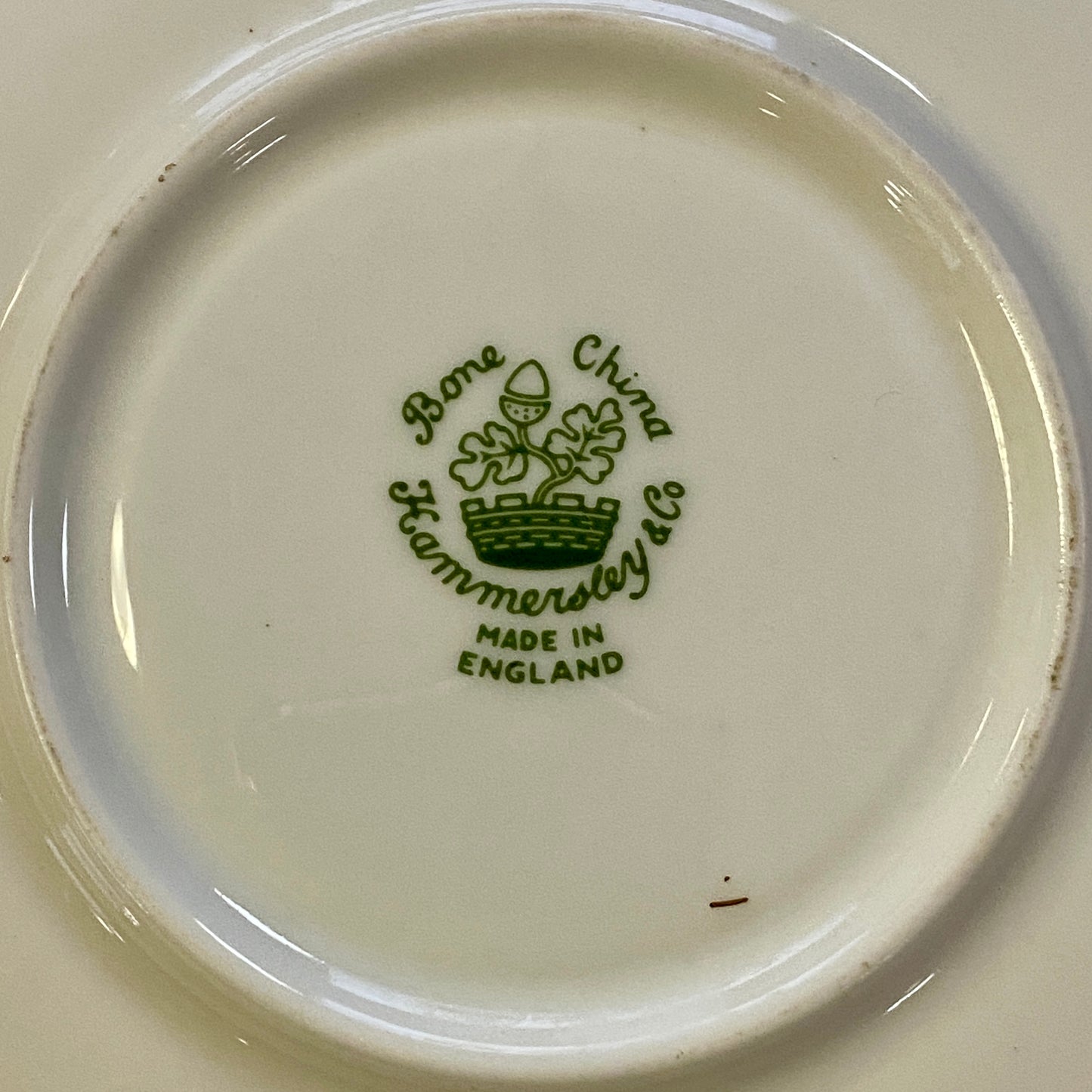Hammersley & Co. Cup & Saucer