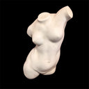 Female Torso