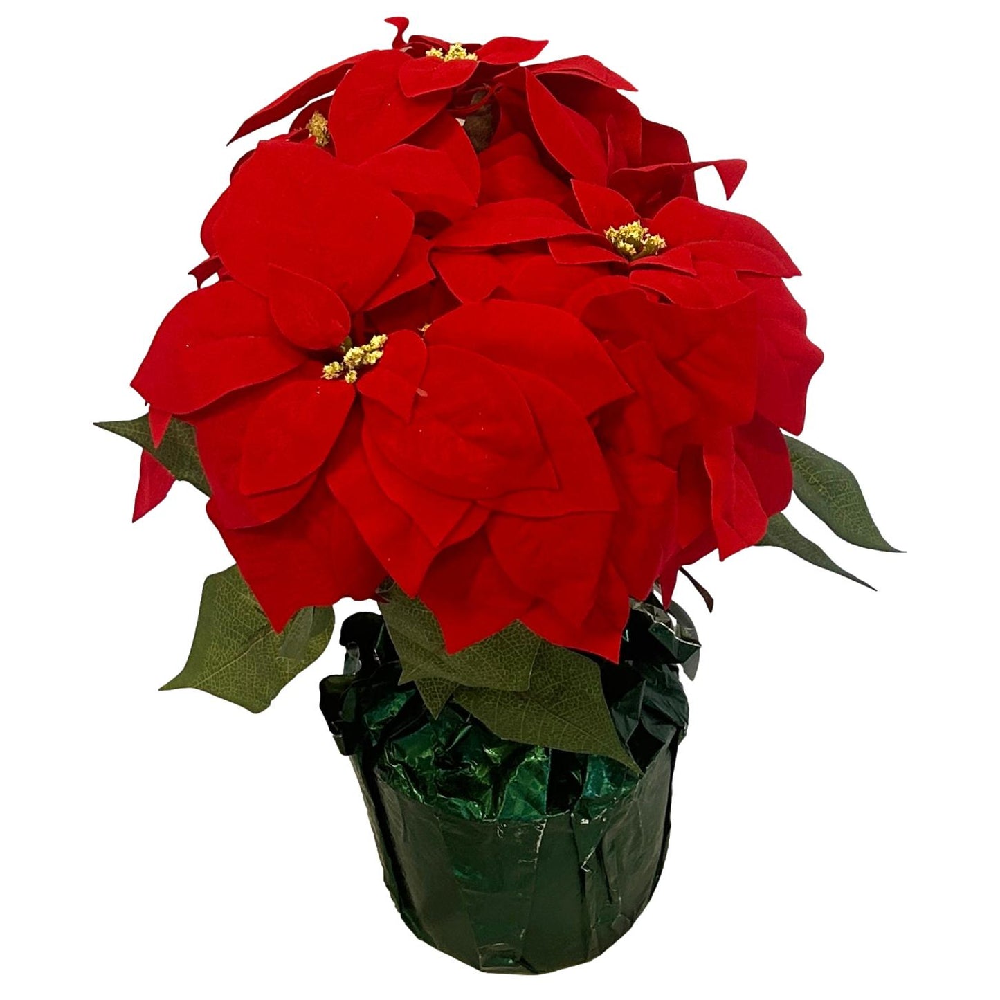 Medium Poinsettia in Basket