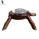 TURTLE STOOL