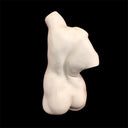 Female Torso
