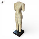 TORSO