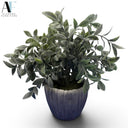 PLANTER