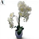 PLANTER
