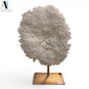 CORAL SCULPTURE
