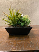 CREATIVE BRANCH SUCCULENT
