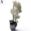 PLANTER