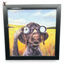 BIRD DOG PICTURE