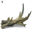 ANTLERS (SET OF 4)