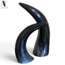 HORNS (PAIR)