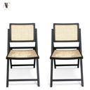FOLDING CHAIRS (PAIR)