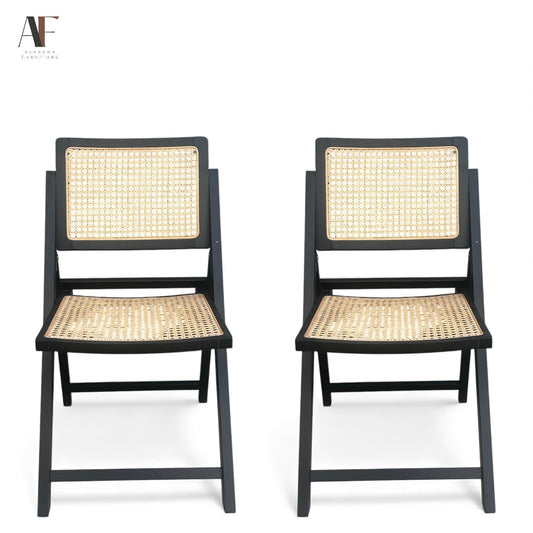 FOLDING CHAIRS (PAIR)