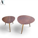 COFFEE TABLE (SET OF 2)