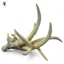 ANTLERS (SET OF 4)