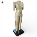 TORSO