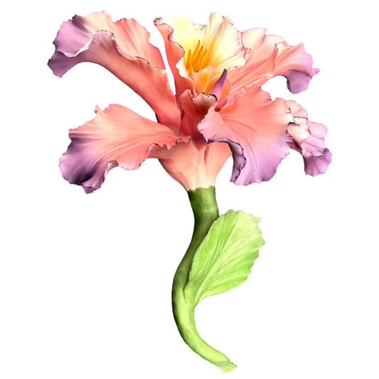 Capodimonte Porcelain Pink Iris