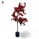 RED PLANT