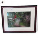 CRIMSON AND MESQUITE ART