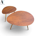 COFFEE TABLE (SET OF 2)