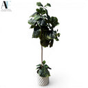 Planter & Floral