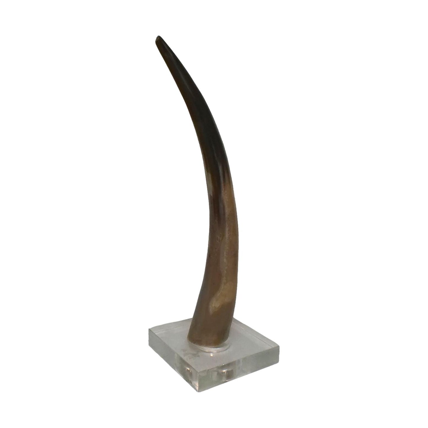HORN ON PLEXIGLASS BASE