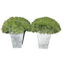 TOPIARY (PAIR)