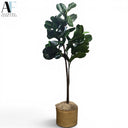 OLIVE TREE