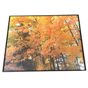 ARTWORK (SET OF 4)
