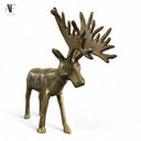MOOSE