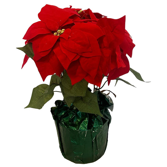 Medium Poinsettia in Basket