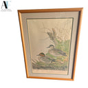 KENNETH FERRIS "GREEN WINGED TEAL"