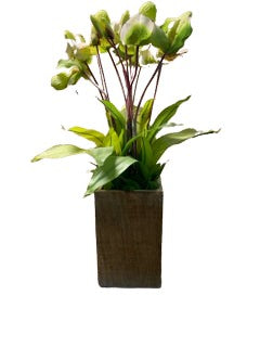 Green Arrangement in Wood