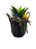 CREATIVE BRANCH SUCCULENT ARRANGEMENT