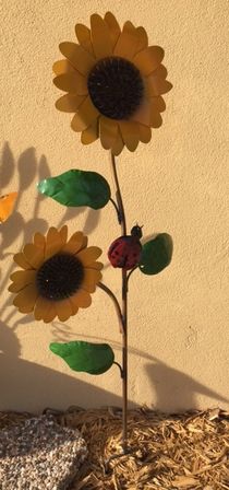 Medium Sunflower