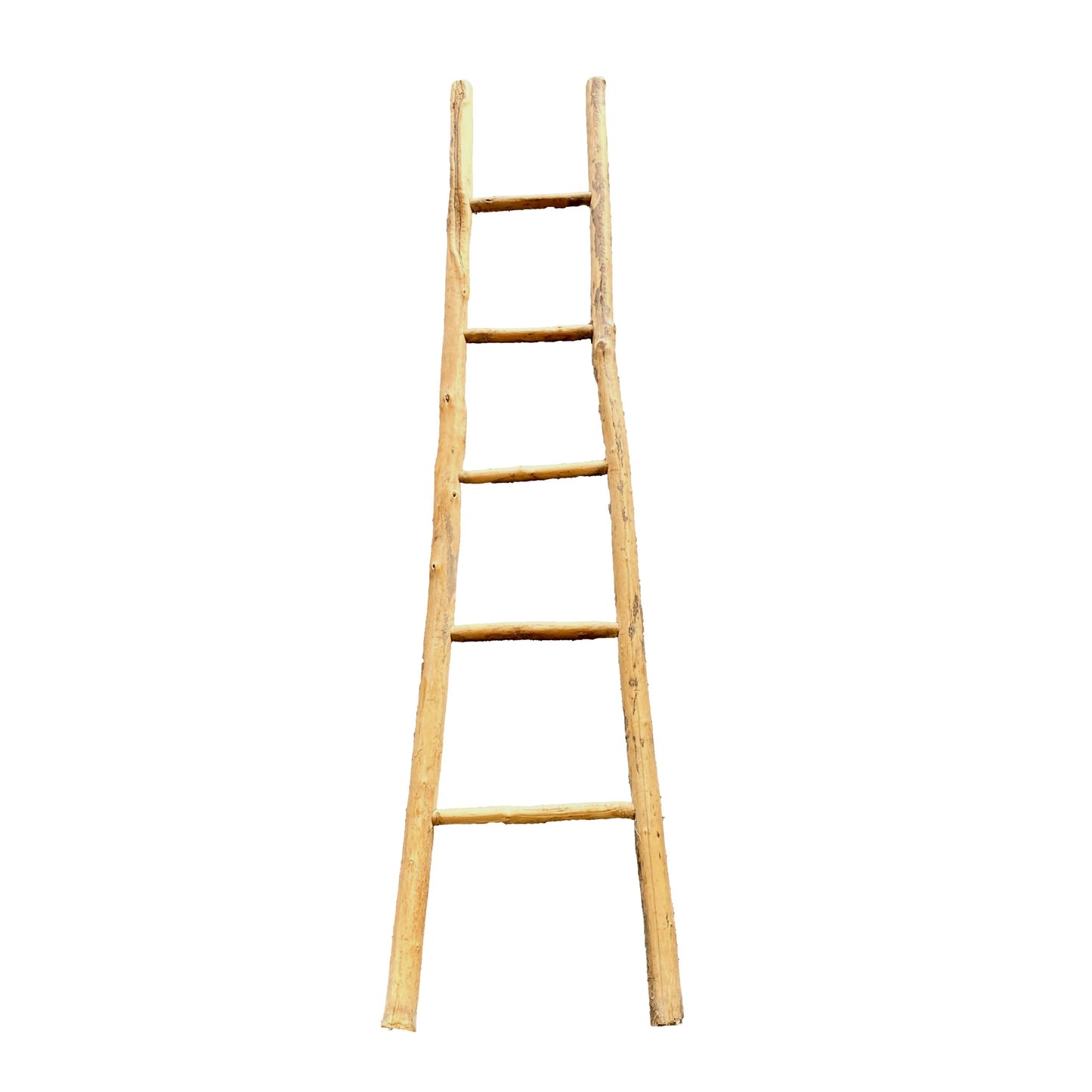 Rustic Ladder