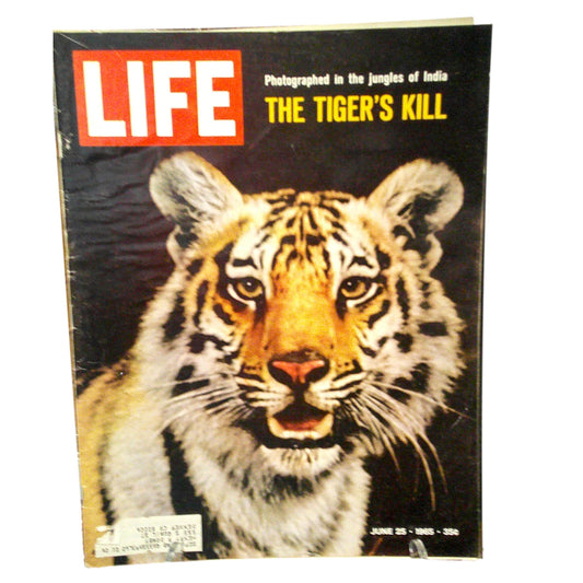 Life Magazine, June 25, 1965