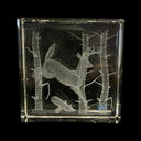 CRYSTAL CUBE