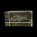 CRYSTAL CUBE