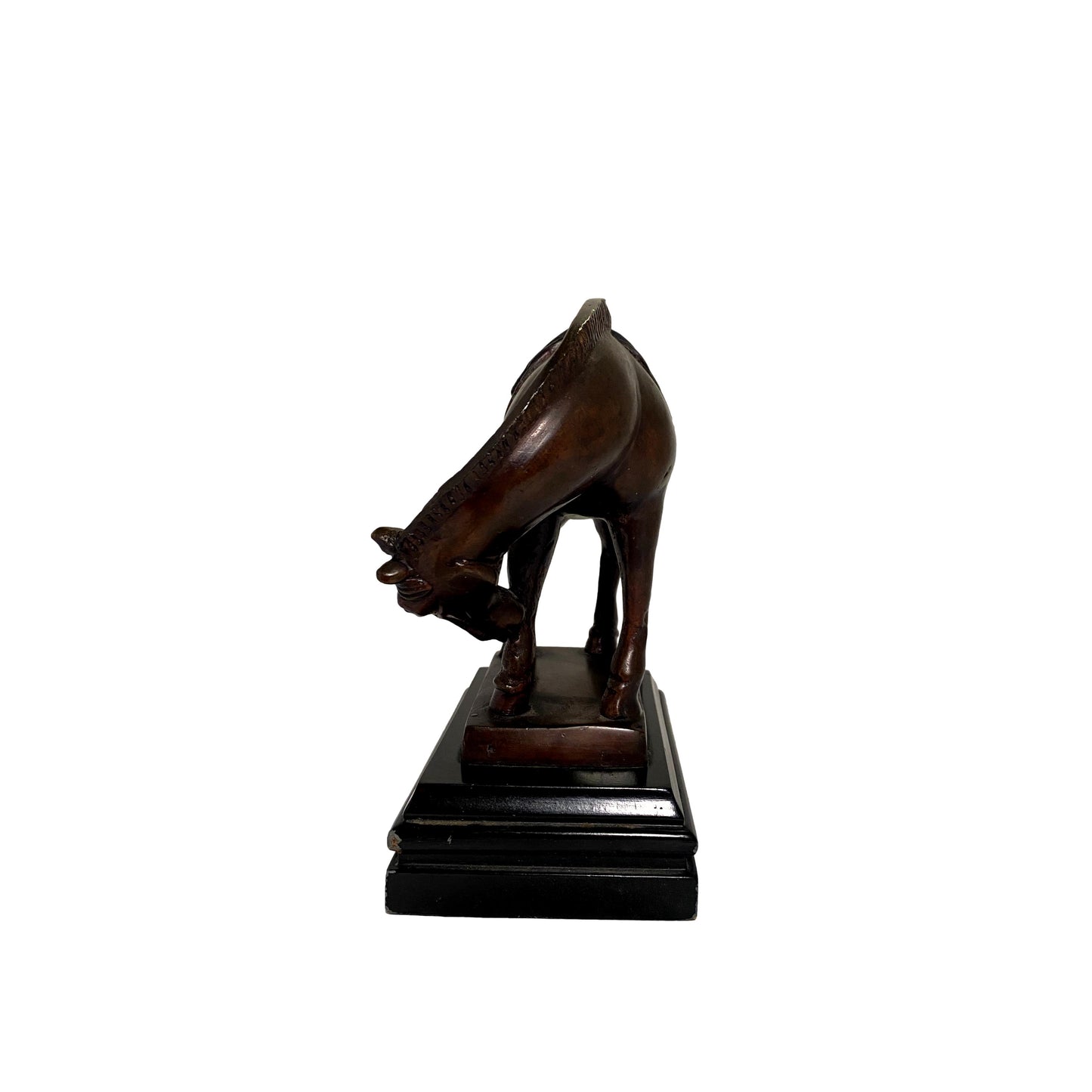 Bronze Horse